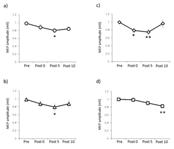 大塚図2.png