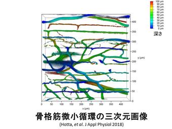 PTホームページ　堀田先生.jpg