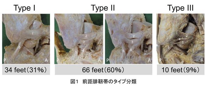 図1.jpg