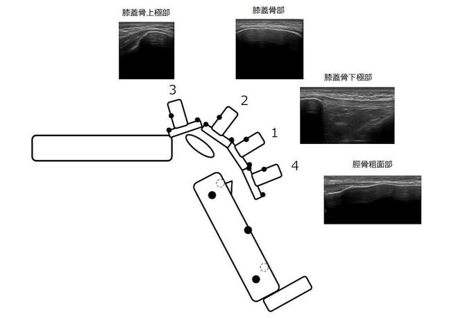 吉田先生図2.jpg