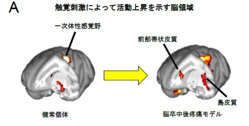 図1.jpg