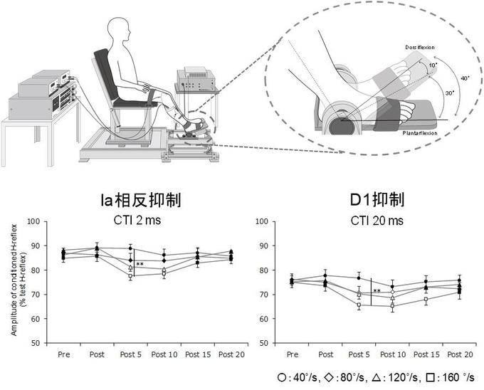 平場や非先生図1.jpg