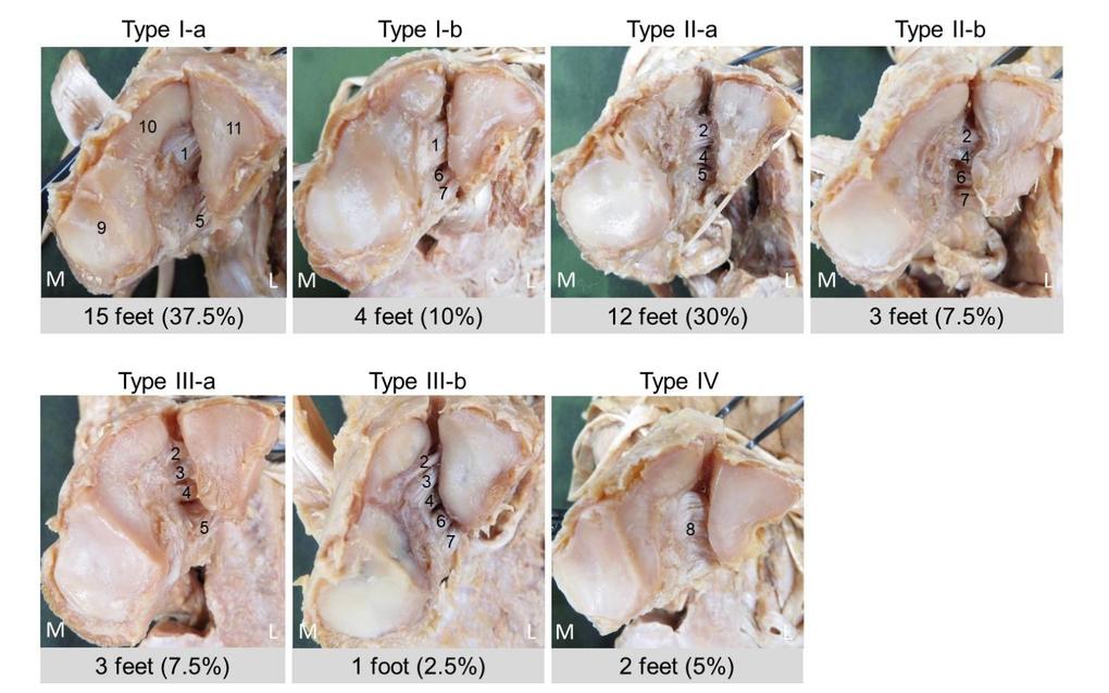 Figure 2.jpg