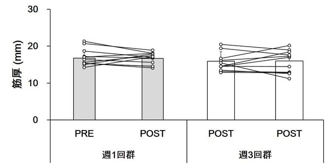 muscle thickness.jpg