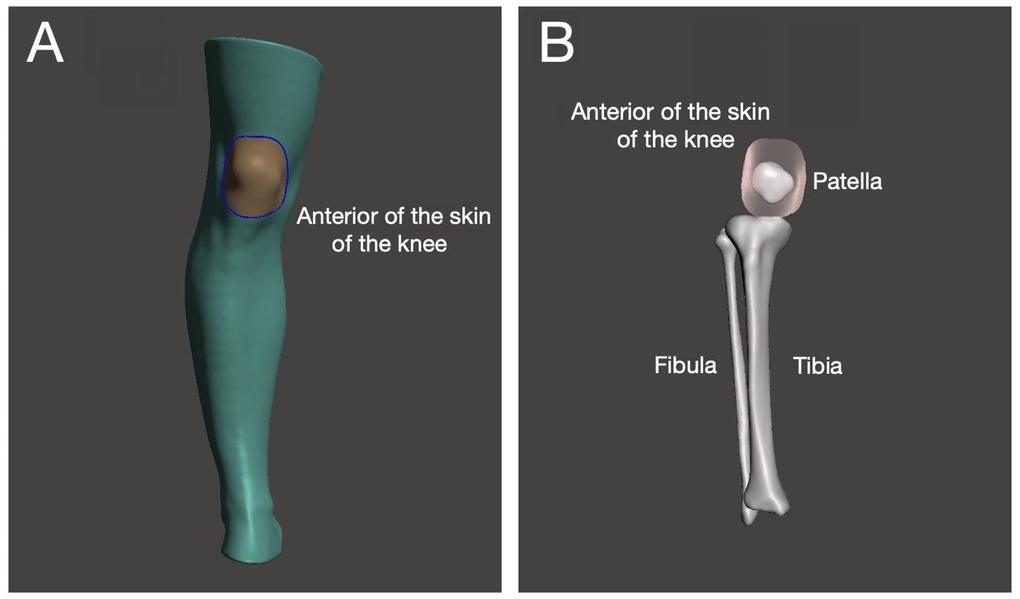 Figure1.jpg