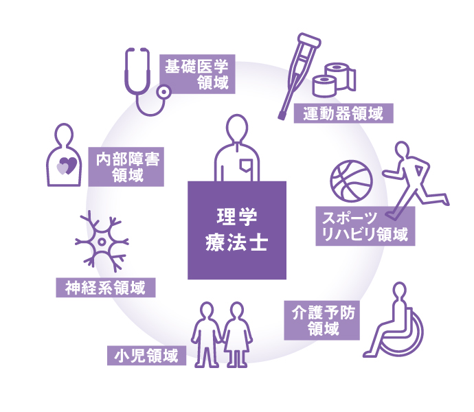 理学療法士とその領域