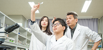 組織切片の顕微鏡観察