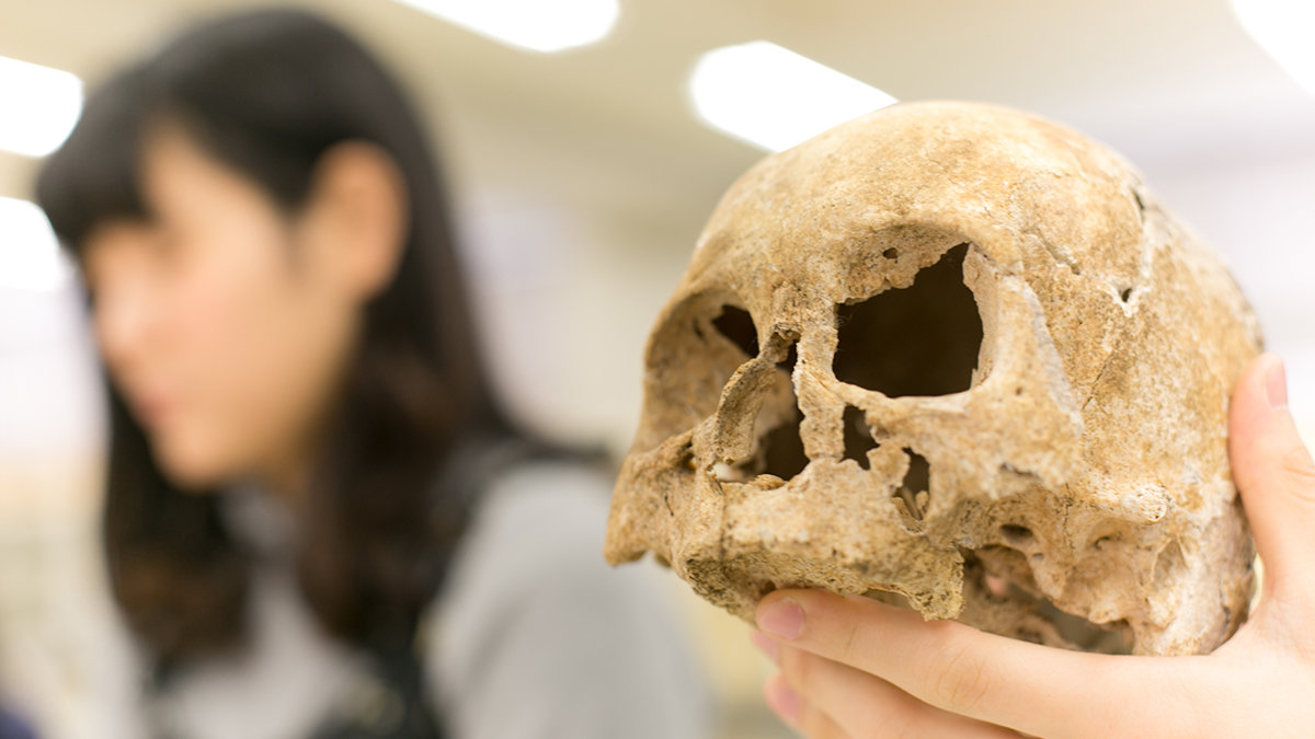 人類学・解剖学Lab_3