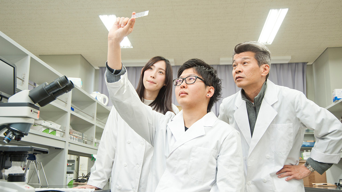 神経・筋・骨組織Lab_3