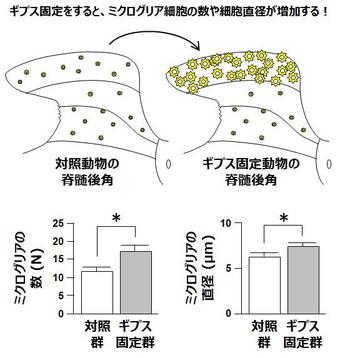 図2.jpg