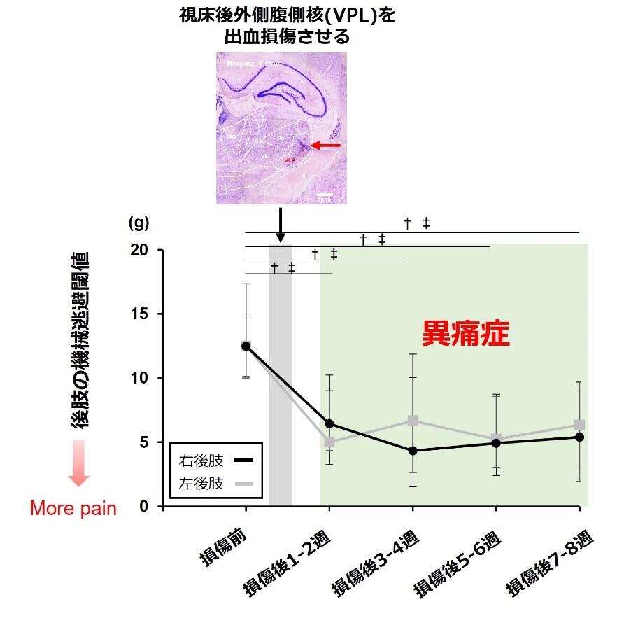 画像1.jpg