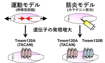 画像1.jpg